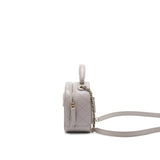 Chanel CC logo vanity with handle and Chain Grey with