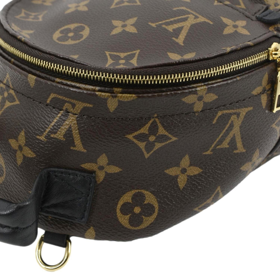 Louis Vuitton Palm Springs Mini Monogram Canvas Backpack Brown