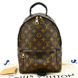 Louis Vuitton Palm Springs PM Monogram Canvas Backpack Brown