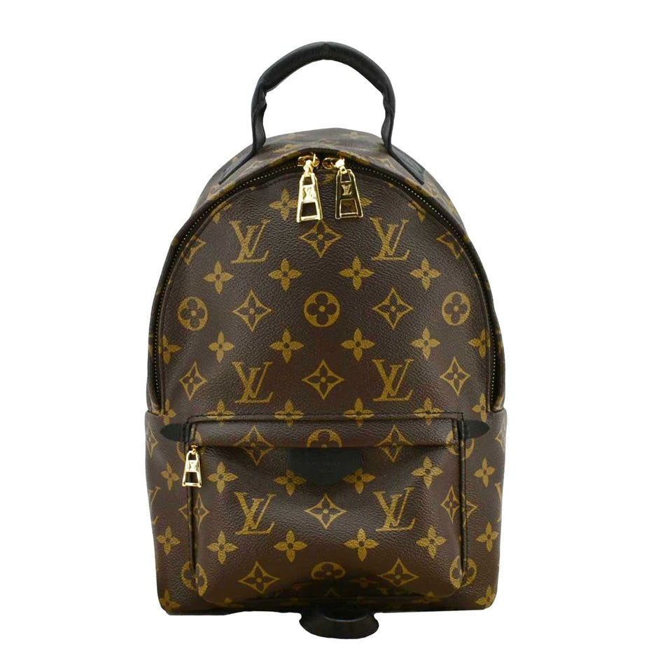 Louis Vuitton Palm Springs PM Monogram Canvas Backpack Brown