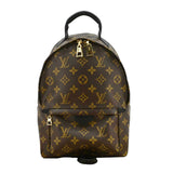 Louis Vuitton Palm Springs PM Monogram Canvas Backpack Brown