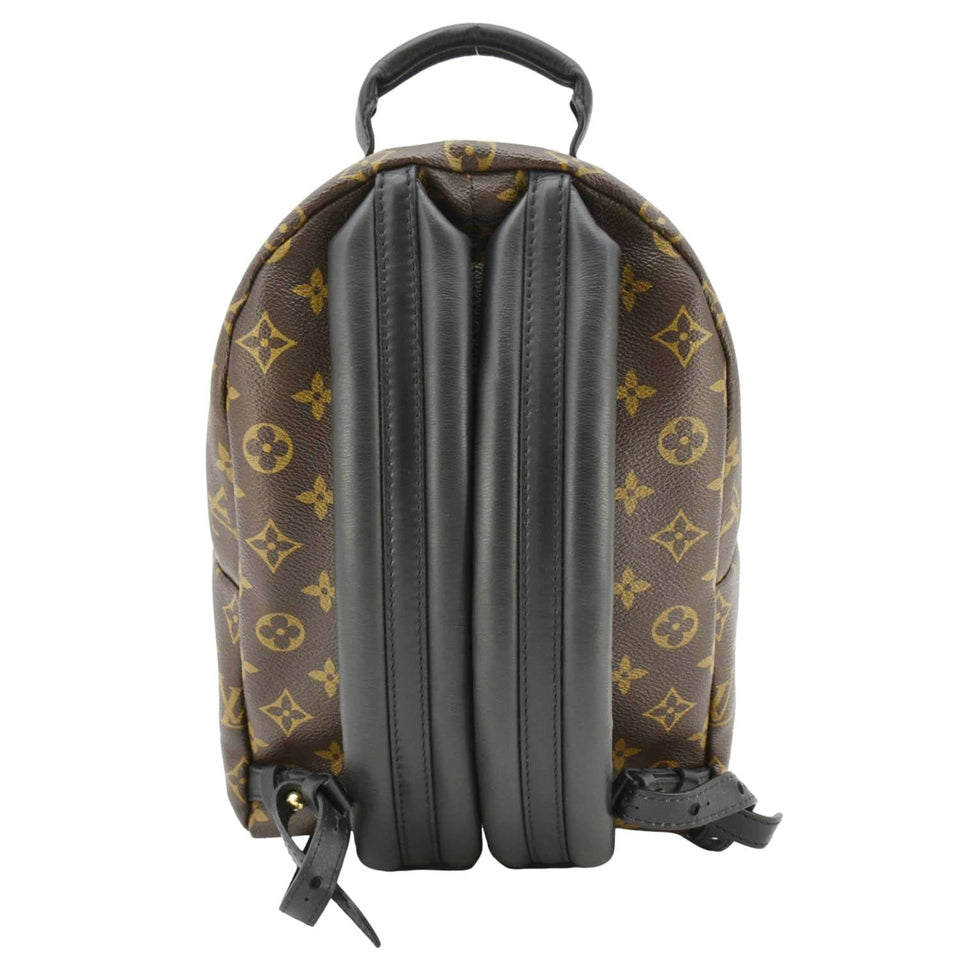 Louis Vuitton Palm Springs PM Monogram Canvas Backpack Brown
