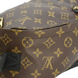 Louis Vuitton Palm Springs PM Monogram Canvas Backpack Brown