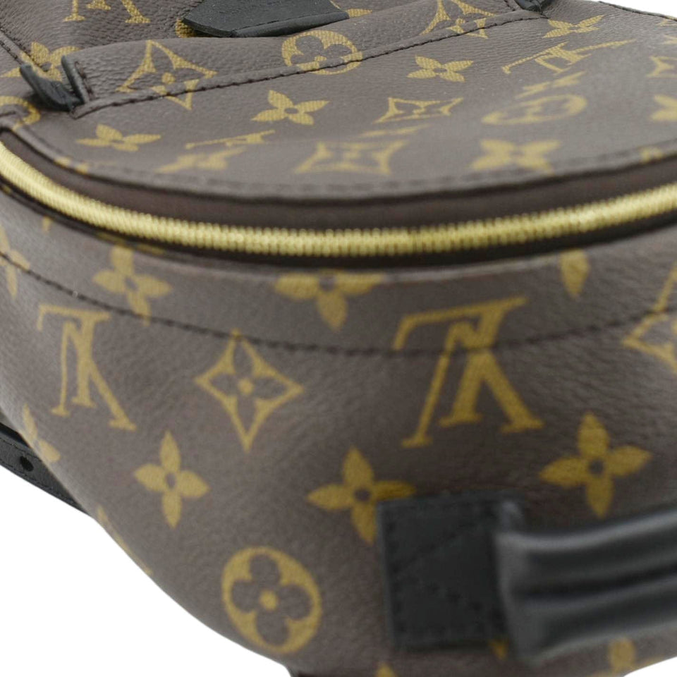 Louis Vuitton Palm Springs Mini Monogram Canvas Backpack Brown