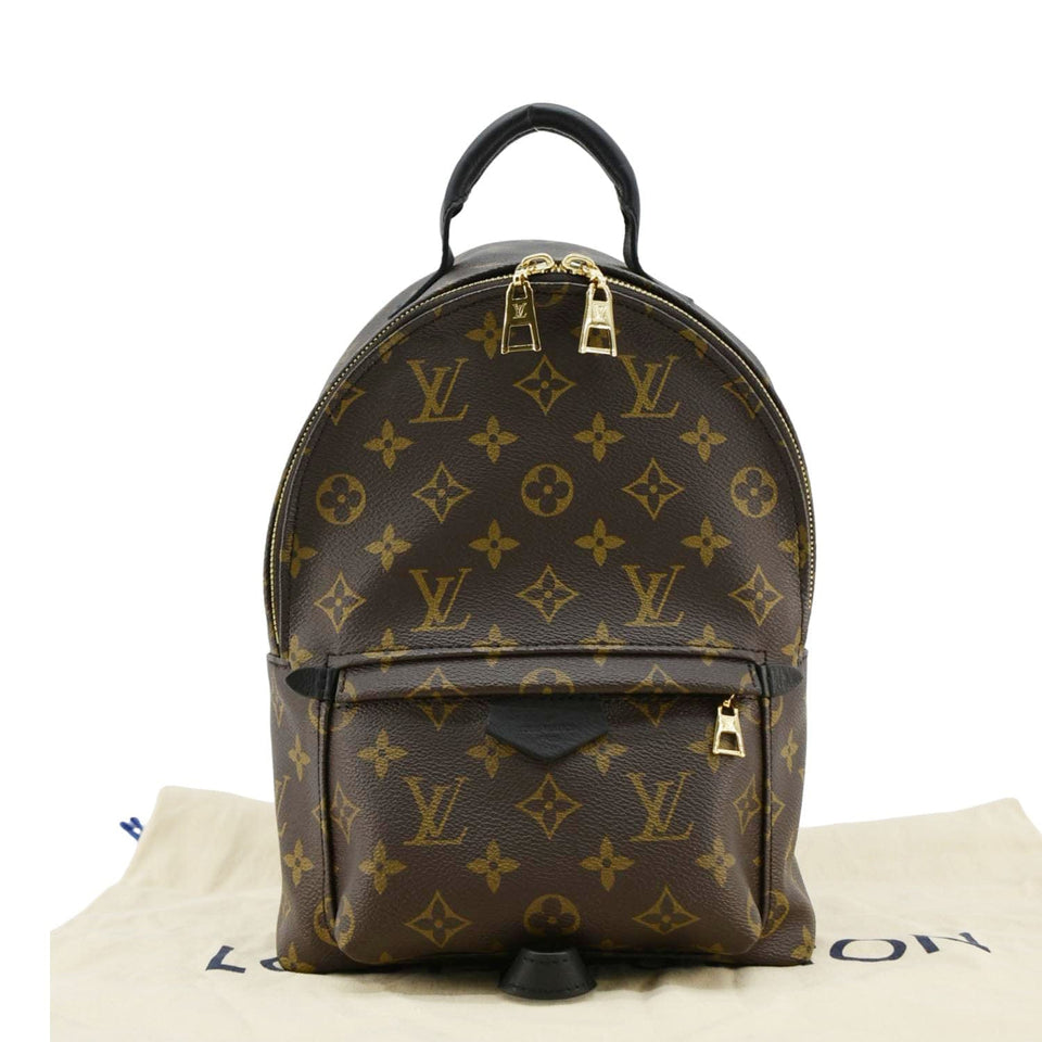 Louis Vuitton Palm Springs PM Monogram Canvas Backpack Brown