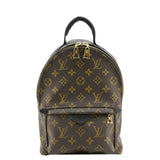 Louis Vuitton Palm Springs PM Monogram Canvas Backpack Brown