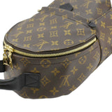 Louis Vuitton Palm Springs PM Monogram Canvas Backpack Brown