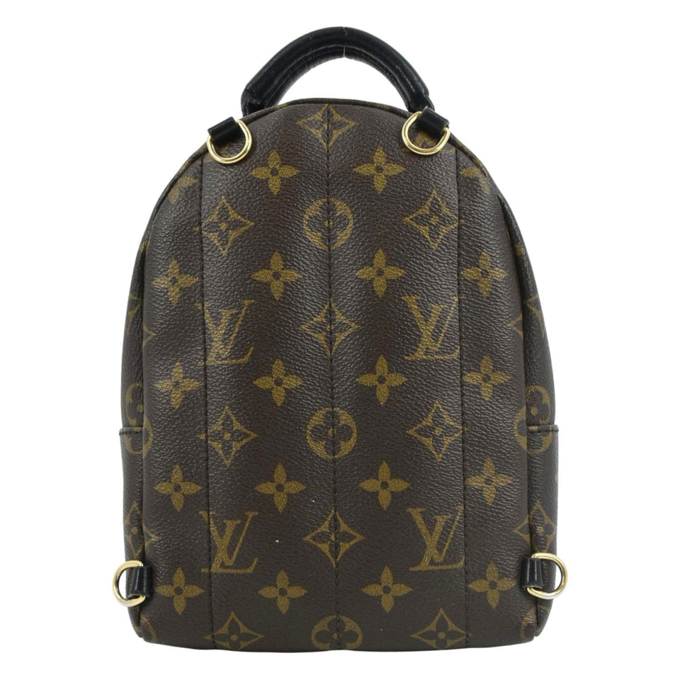 Louis Vuitton Palm Springs Mini Monogram Canvas Backpack Brown