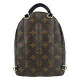 Louis Vuitton Palm Springs Mini Monogram Canvas Backpack Brown