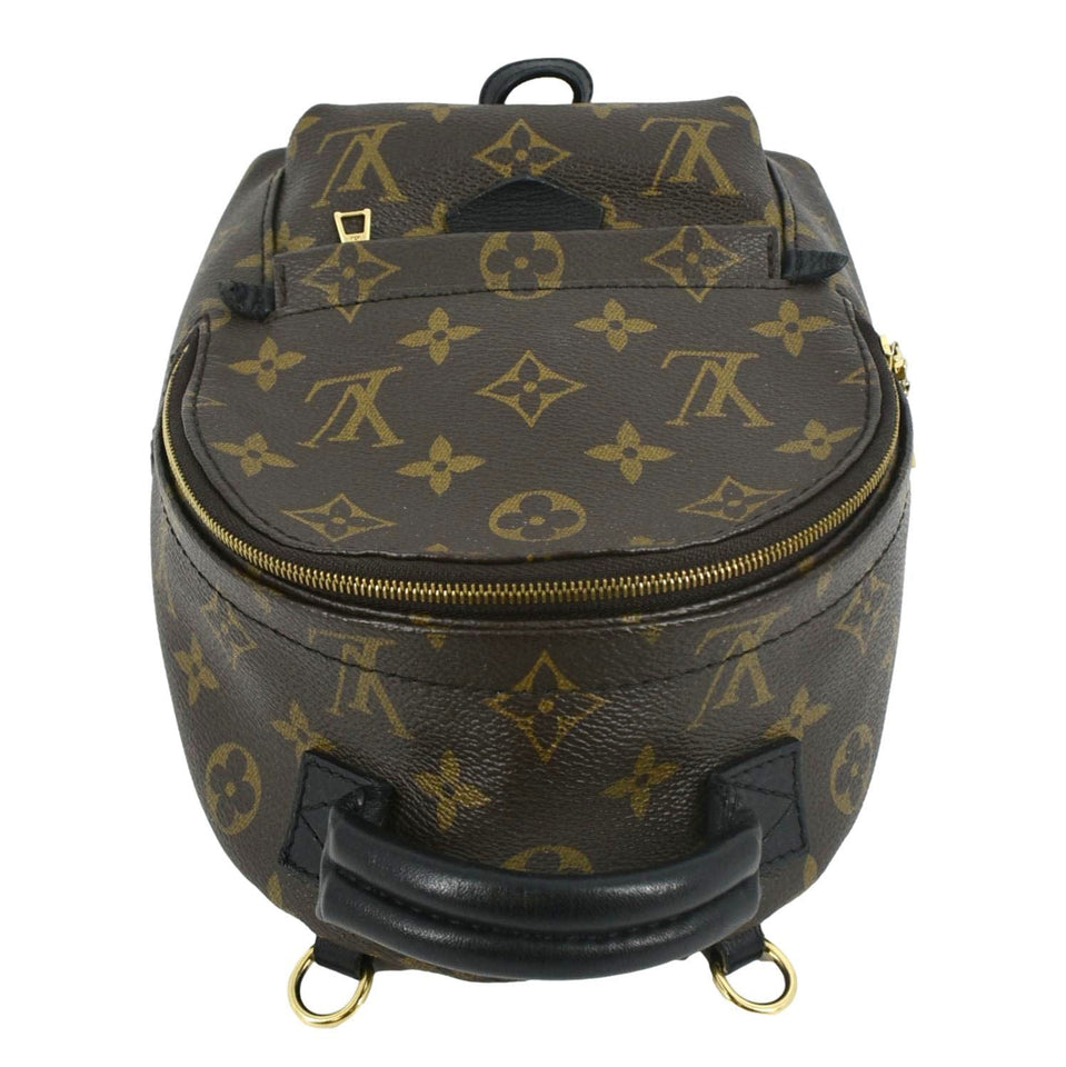 Louis Vuitton Palm Springs Mini Monogram Canvas Backpack Brown