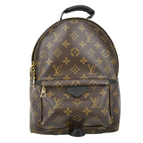 Louis Vuitton Palm Springs PM Monogram Canvas Backpack Brown