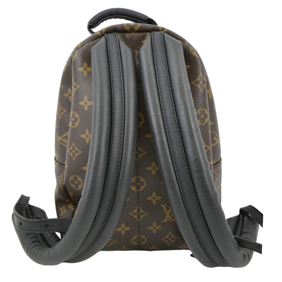 Louis Vuitton Palm Springs PM Monogram Canvas Backpack Brown