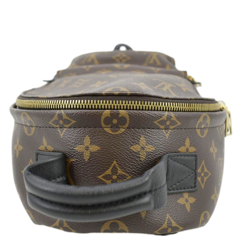 Louis Vuitton Palm Springs PM Monogram Canvas Backpack Brown