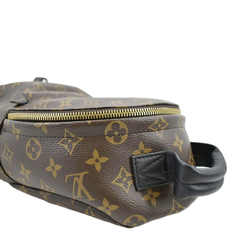 Louis Vuitton Palm Springs PM Monogram Canvas Backpack Brown
