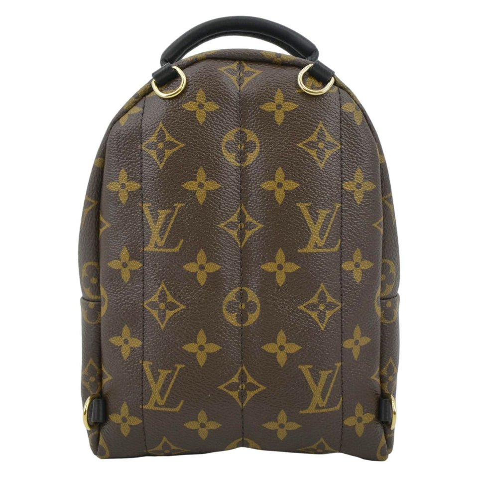 Louis Vuitton Palm Springs Mini Monogram Canvas Backpack Brown