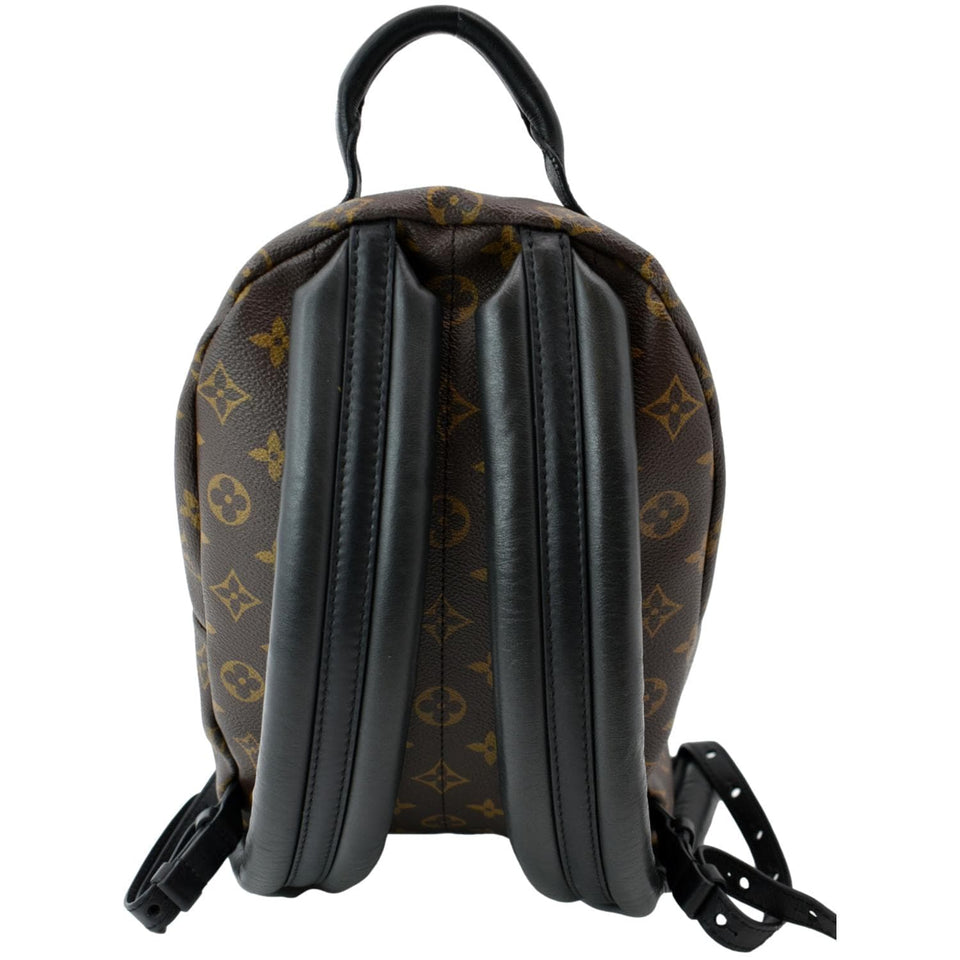 Louis Vuitton Palm Springs PM Monogram Canvas Backpack Brown