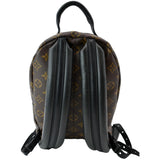 Louis Vuitton Palm Springs PM Monogram Canvas Backpack Brown