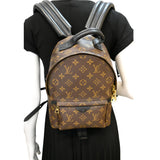 Louis Vuitton Palm Springs PM Monogram Canvas Backpack Brown
