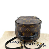 Louis Vuitton Palm Springs Mini Monogram Canvas Backpack Brown