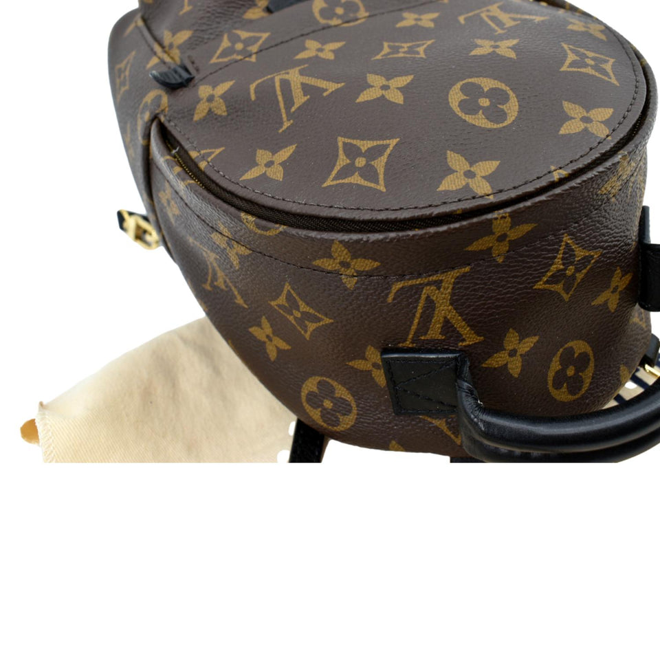 Louis Vuitton Palm Springs Mini Monogram Canvas Backpack Brown