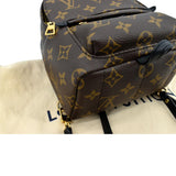 Louis Vuitton Palm Springs Mini Monogram Canvas Backpack Brown