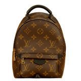 Louis Vuitton Palm Springs Mini Backpack