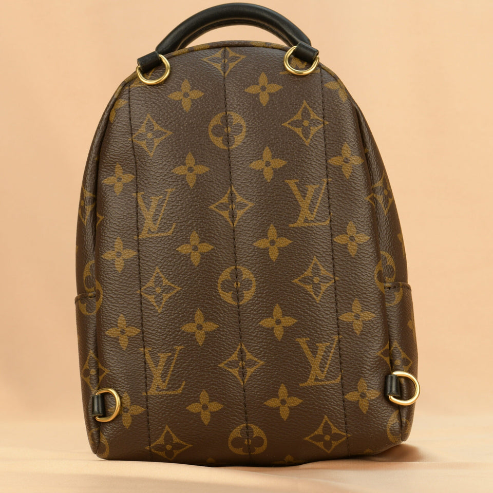 Louis Vuitton Palm Springs Mini Backpack