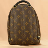 Louis Vuitton Palm Springs Mini Backpack