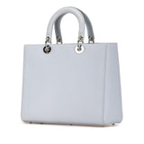 Dior Andy Warhol Large Calfskin Lady Dior (SHG-emYYff)
