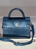Christian Dior PYTHON MINI DiorEVER BAG