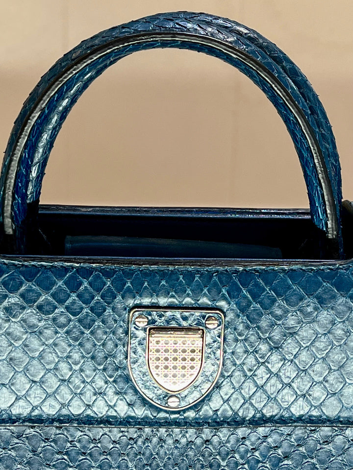 Christian Dior PYTHON MINI DiorEVER BAG
