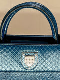 Christian Dior PYTHON MINI DiorEVER BAG