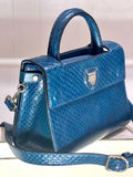 Christian Dior PYTHON MINI DiorEVER BAG