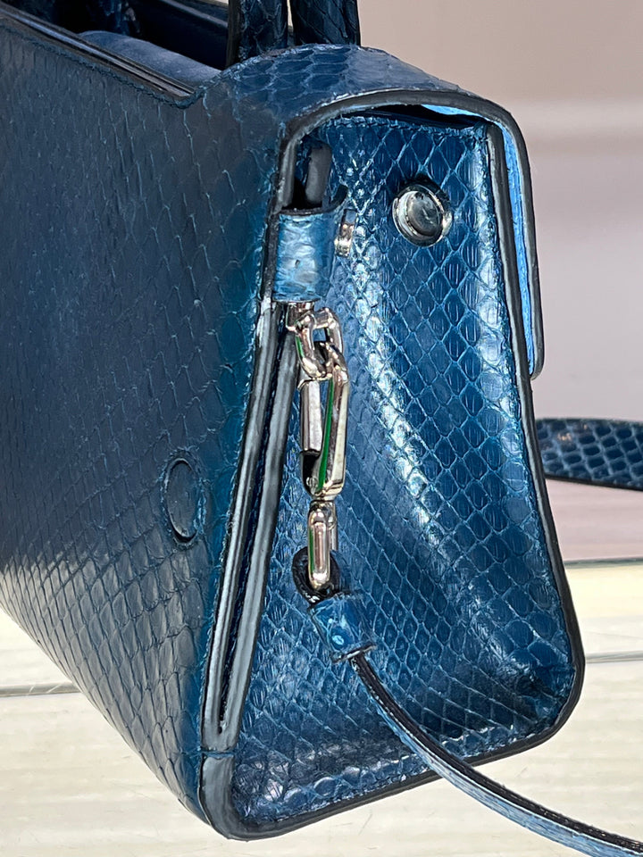 Christian Dior PYTHON MINI DiorEVER BAG