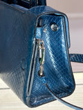 Christian Dior PYTHON MINI DiorEVER BAG