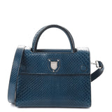 Christian Dior PYTHON MINI DiorEVER BAG