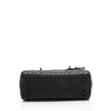 Dior Calfskin Ultra Matte Lady Dior Small Tote (SHF-MCFuwA)