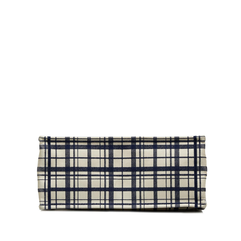 Dior Large Check n Dior Book Tote
