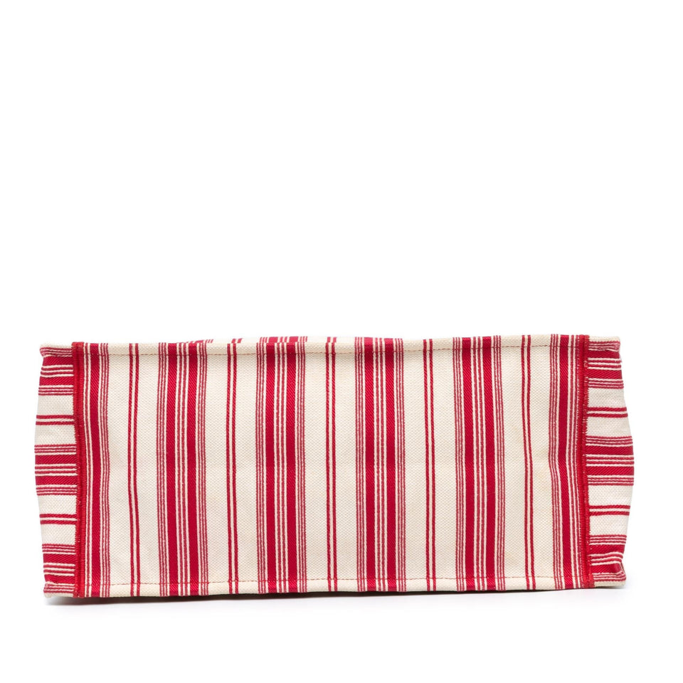 Dior Large Striped Book Tote