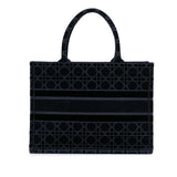 Dior Medium Cannage Embroidered Book Tote (SHG-fvzewU)