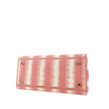 Dior Medium D-Stripes Lady D-Lite (SHG-n0Pvbc)
