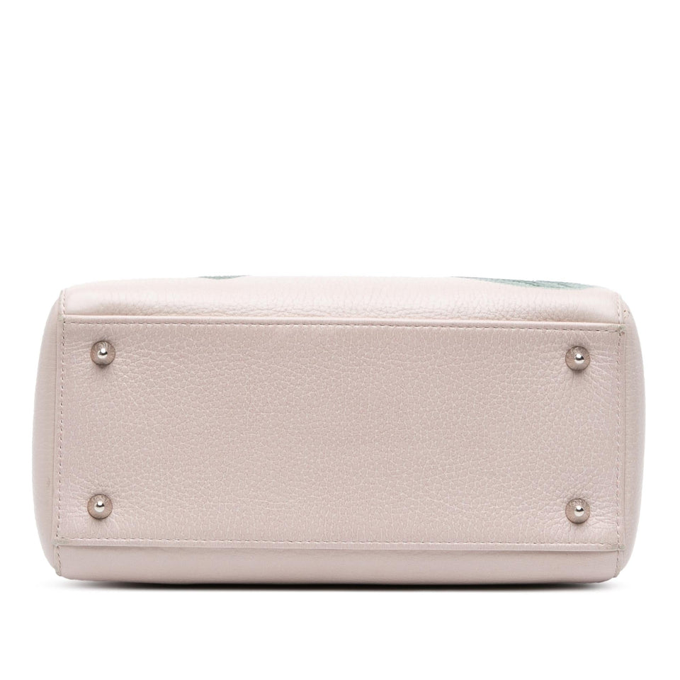 Dior Medium Deerskin Floral Printed Lady Dior