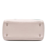 Dior Medium Deerskin Floral Printed Lady Dior