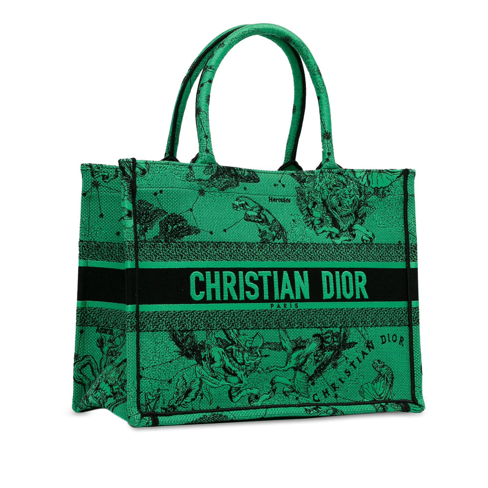Dior Medium Embroidered Canvas Book Tote