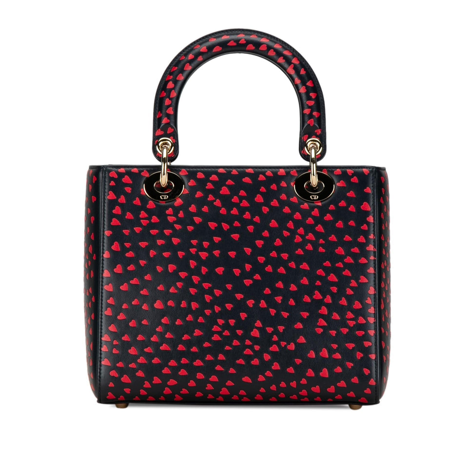 Dior Medium I Love Paris Lady Dior Satchel
