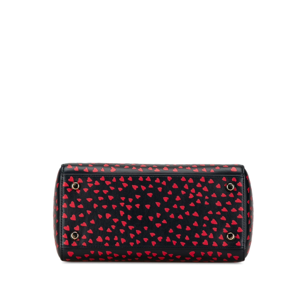 Dior Medium I Love Paris Lady Dior Satchel