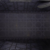 Dior Medium Iridescent Lambskin Cannage Lady Dior