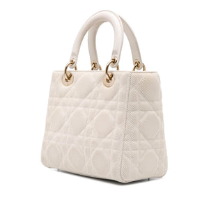 Dior Medium Mesh Cannage Lady Dior
