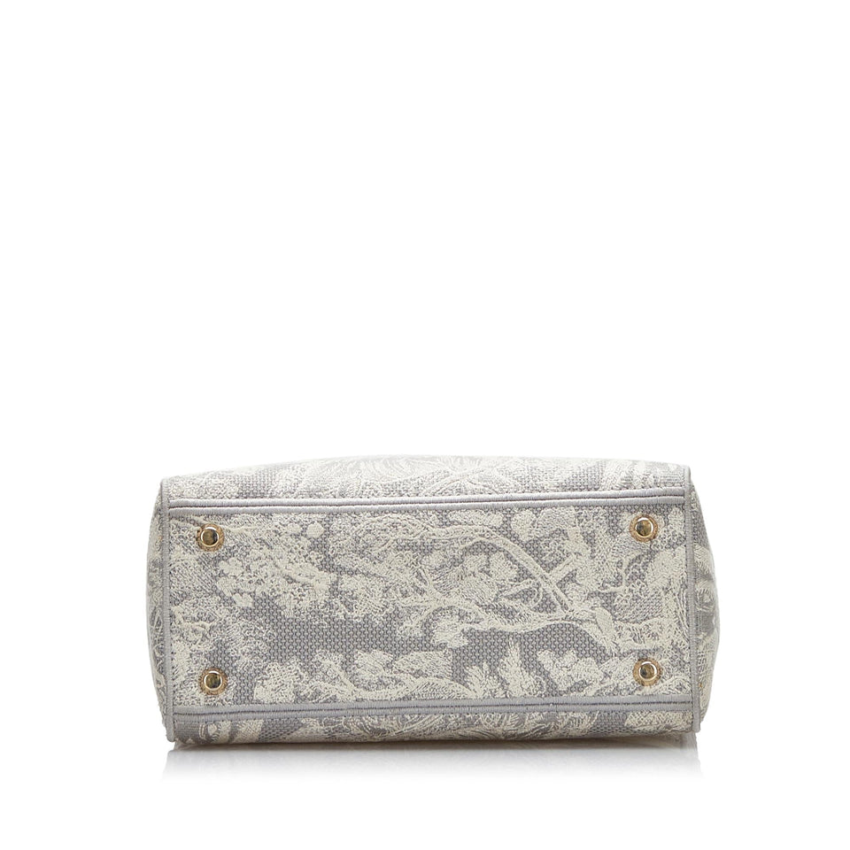 Dior Medium Toile de Jouy Lady D-Lite (SHG-QLSZrh)