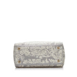 Dior Medium Toile de Jouy Lady D-Lite (SHG-QLSZrh)